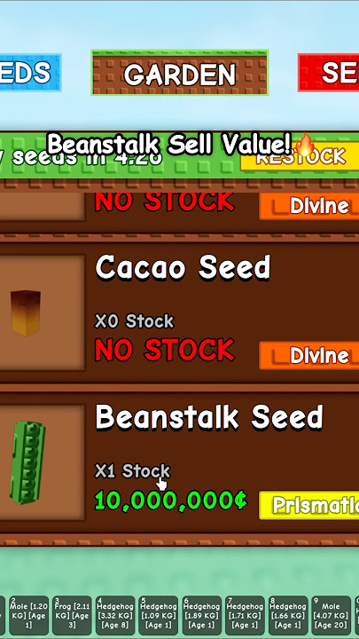 Beanstalk on Stock! 😱