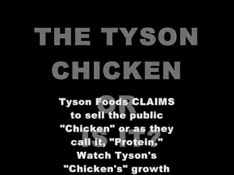 BOYCOTT TYSON FOODS Tyson's Pigeon/Chicken