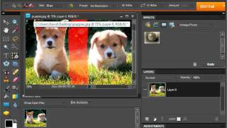 Photoshop Elements 9.0 Tutorial The Recompose Tool Adobe Training Lesson 13.13