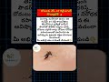 #IITDelhi #MosquitoFree #Dengue #Malaria #Chikungunya #IndianScience #Innovation #HealthAlert