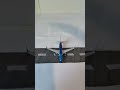R.I.P SunCountry airlines #airplane #aviation #airport #suncountry