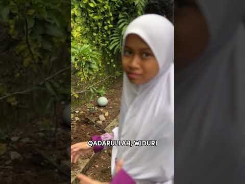 Video: Cara Selamat ketika Tinggal di Rumah Sendiri (Gadis) (dengan Gambar)