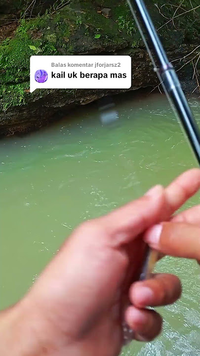 GOKIL!!! umpan turu langsung strike || mancing uceng #mancing #microfhising #hobimancing