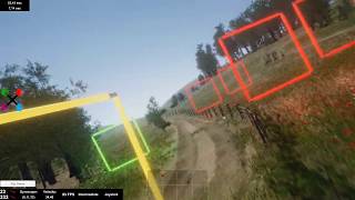 FPV Meadow Environment - Dynamic Nature No Vsync.