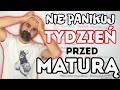 Panika TYDZIEŃ przed MATURĄ | RYE Matura 26 odc 10