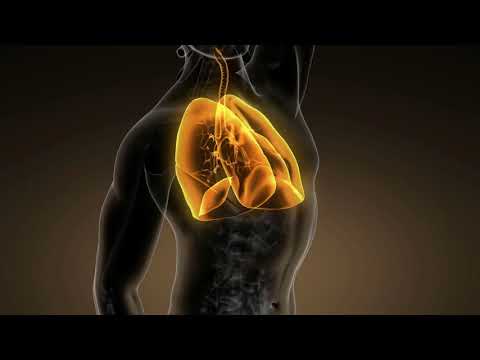 Quelles sont les causes les plus courantes de douleurs à la poitrine et au bras?