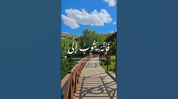 (ومن تاب وعمل صالحا)سورة الفرقان/ ناصر القطامي / #قرآن #اكسبلور #قران_كريم #المصحف #quran #دويتو