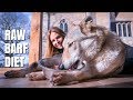 RAW FOOD FOR DOGS - THE BARF DIET / Animal Watch