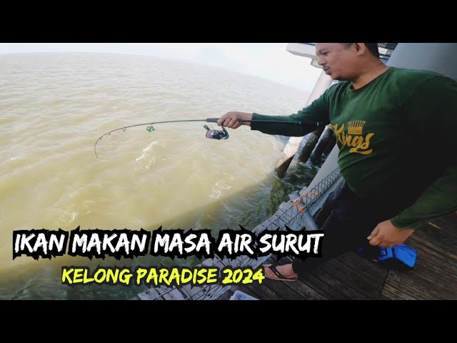 KELONG PARADISE SABAK BERNAM_2024 _Misi Naikkan Ikan TARGET class=