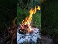 Звук вогню і тріск дров.  Релакс. Для медитації.The sound of fire and the crackling of firewood.