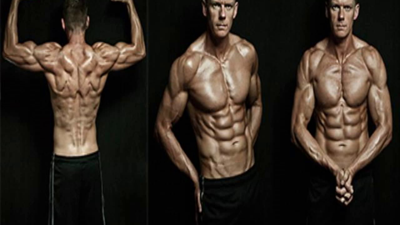 adonis golden ratio system download free