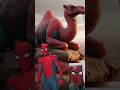 Superheroes But Camel рџ Ґ Marvel DC All Characters Marvel Avengers Shorts Superheroes But Camel рџ Ґ Marvel DC All Characters Marvel Avengers Shorts