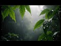 Drift Into Deep Sleep | Relaxing Rainfall Sounds for Instant Calm & Peaceful Nights
