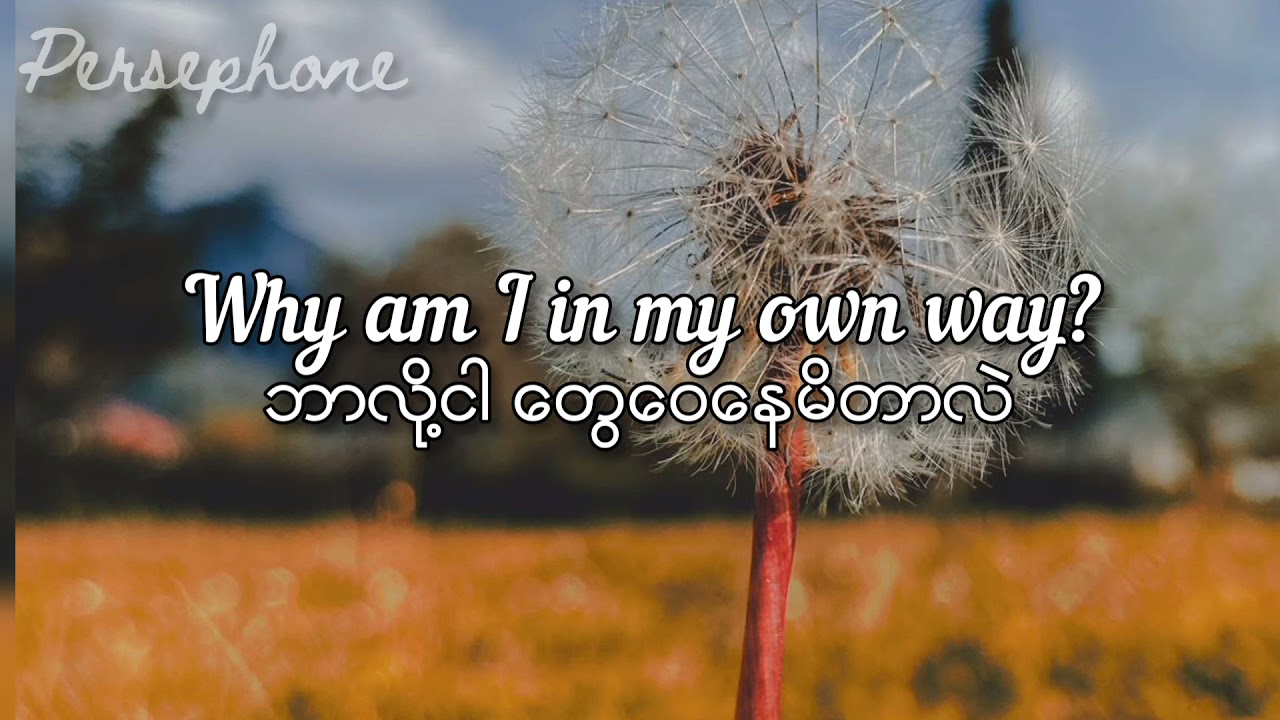 ⁣Why don't we - 8 letters | Myanmar Subtitles