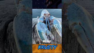 Help small content creators #veshremy #pngtuber #shorts #subcribe
