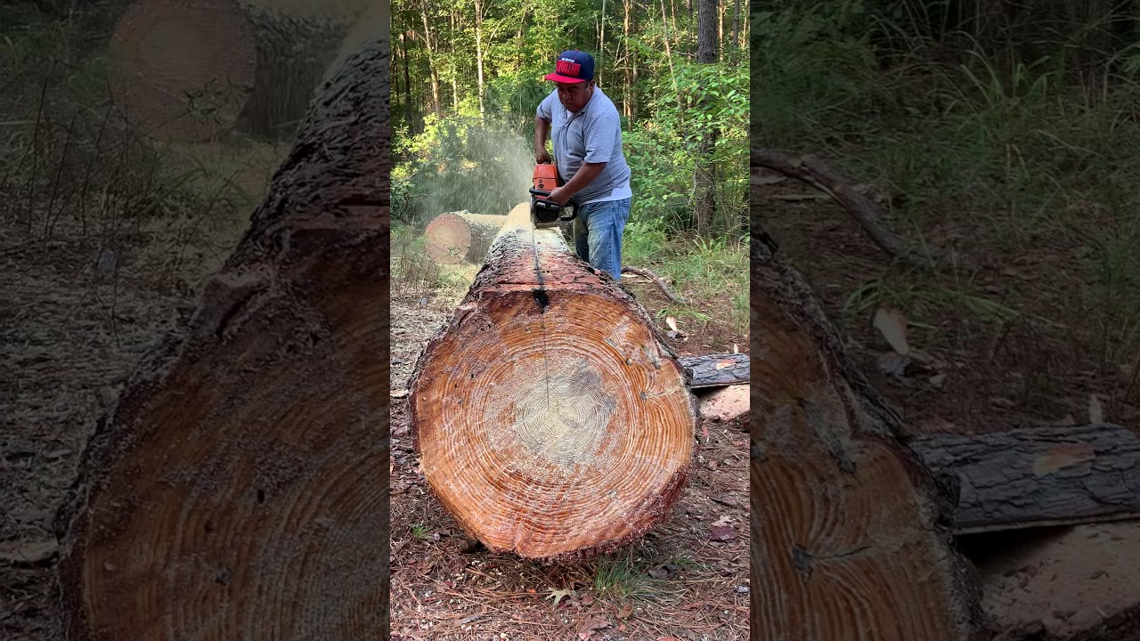 Chainsaw cut boards. No guide YouTube