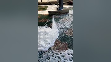 Foam scraping #22   #satisfying #asmr #carpetcleaning #foam #smooth #carpet