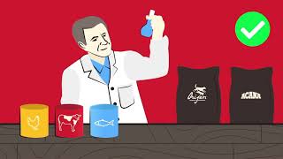 Animated Video   Never Outsourced   Short v2