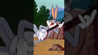Long-Haired Hare Opening