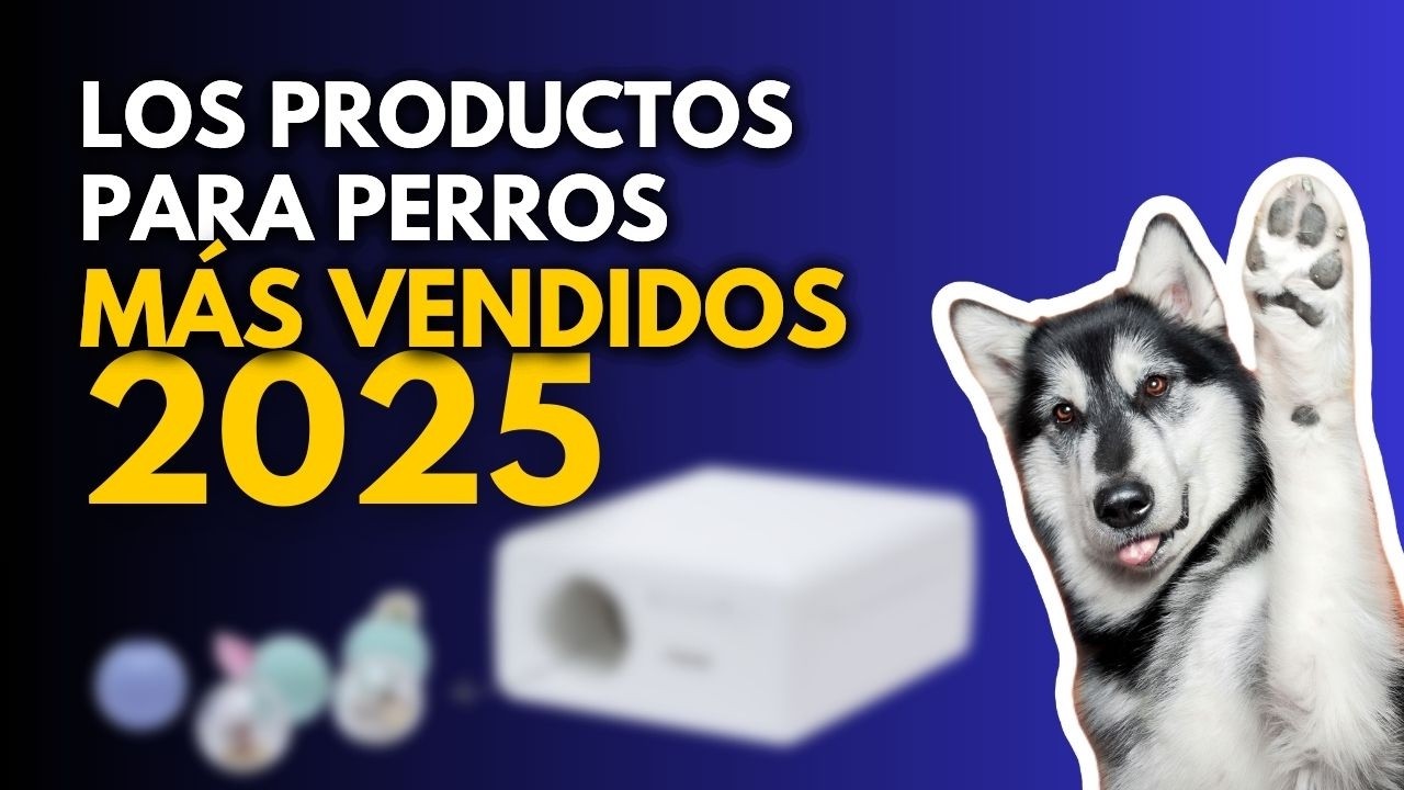 ↘️ TOP 13: Productos para perros + vendidos ◆2025◆