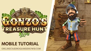 Gonzo's Treasure Hunt Tutorial | Game Instructions, Pay-out Information, Chat & Settings Info screenshot 5