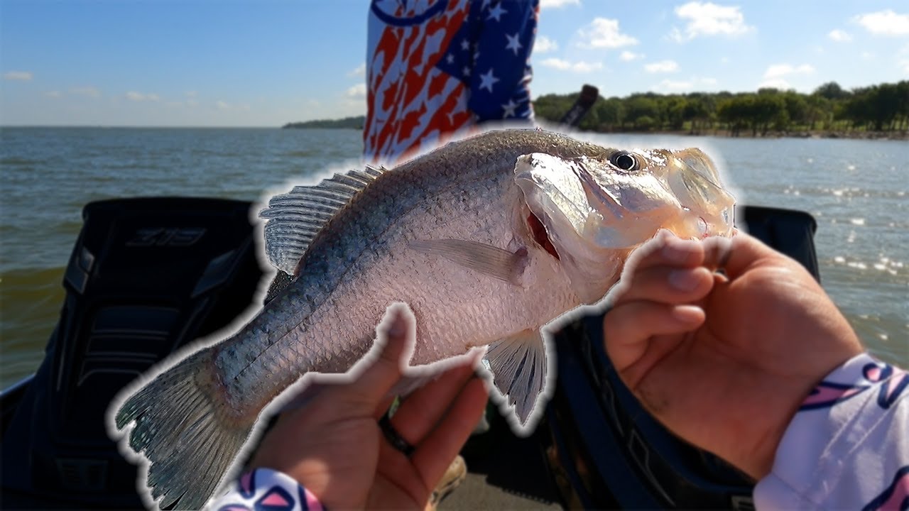HOW to CATCH summer CRAPPIE!! | Summer CRAPPIE FISHING |