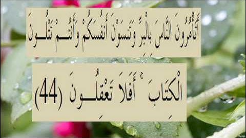 القران الكريم سورة البقرة الاية 44