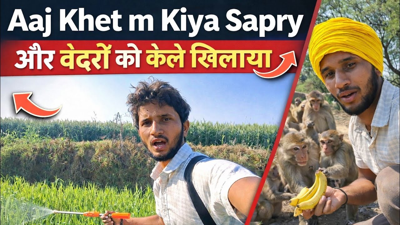 Aaj kya kya kiya || New vlog ||shanivlogs56 #subscribe #like #comment 