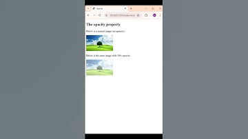 Opacity Property In HTML and CSS