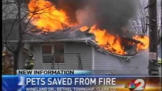Pets saved from fire