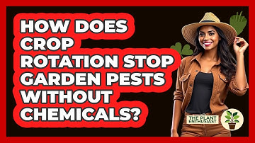 How Does Crop Rotation Stop Garden Pests Without Chemicals? - The Plant Enthusiast