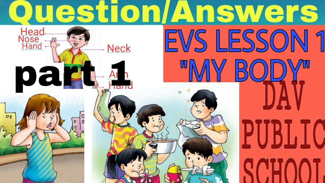 DAV PUBLIC SCHOOLS ,EVS LESSON 1st , MY BODY, QUESTIONS ANSWERS - YouTube