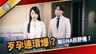 《八點檔搶先爆》愛的榮耀 EP151 歹孕連環爆 驗DNA抓野種