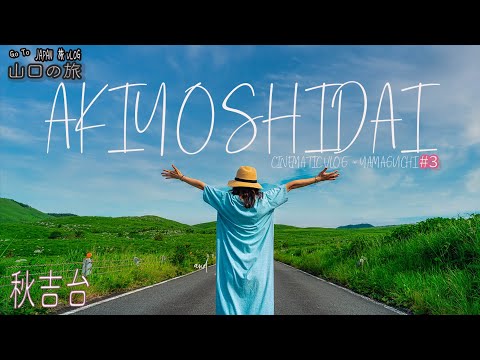 山口の旅3 【秋吉台】をドライブ。日本最大のカルスト台地が壮大すぎた Yamaguchi  Akiyoshidai