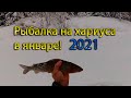 Рыбалка на хариуса в январе 2021, глухозимье! Рыбалка в Коми на таёжной реке.