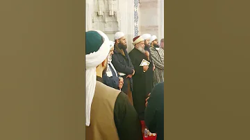 تفريدات يا أيها العالي الجناب المجلس المحمدي الشيخ محمود الدرة 