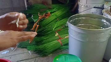 nhựa dính cò vạc giá rẻ. keo bẫy cò vạc. 0852341986. nan tre giá rẻ. cò xốp đệm dẻo . nan cáp quang