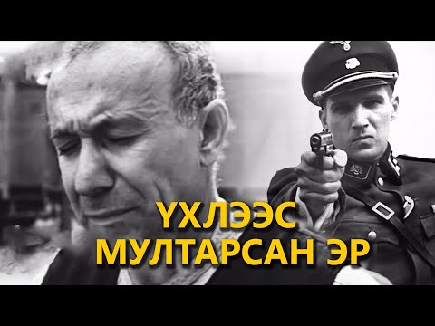 Видео: 11 төрсний бүртгэл