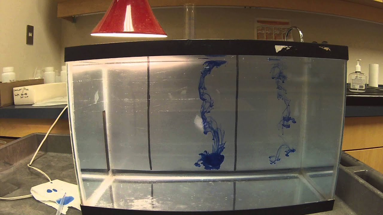 tank demo of thermohaline