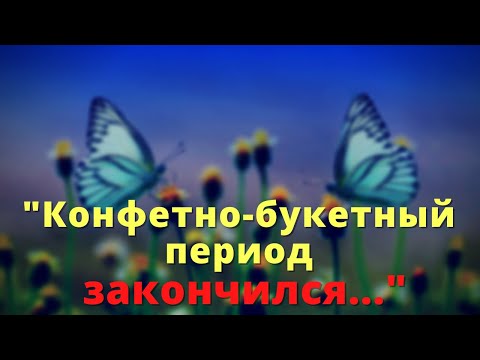 Конфетно-букетный период закончился. Что дальше?