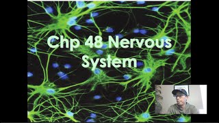 AP Biology- Chapter 48A Lecture: Intro to Neurons