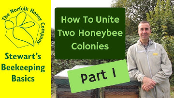 How to Unite Two Honeybee Colonies  - Part One #Beekeeping Basics - The Norfolk Honey Co.