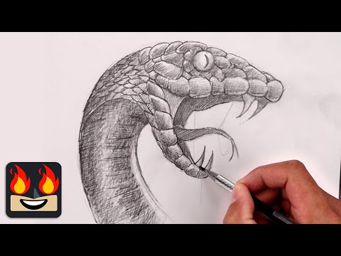 How To Draw a Snake