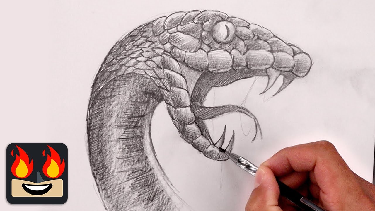 How To Draw A Snake  Reptile Sketch Tutorial 