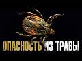 ПОЧЕМУ КЛЕЩИ ВЫБРАЛИ ИМЕННО ТЕБЯ?