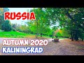 Cities of Russia. Autumn in Russia | Kaliningrad | Kant Island | Russia video | Kaliningrad region
