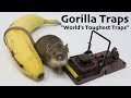 "The World's Toughest Mousetrap" - A Huge Surprise Catch - & My New Filming Studio