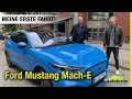 Ford Mustang Mach-E (2021) Meine erste Fahrt!⚡️🐎🔋 Fahrbericht | Review | Test | First Edition | GT