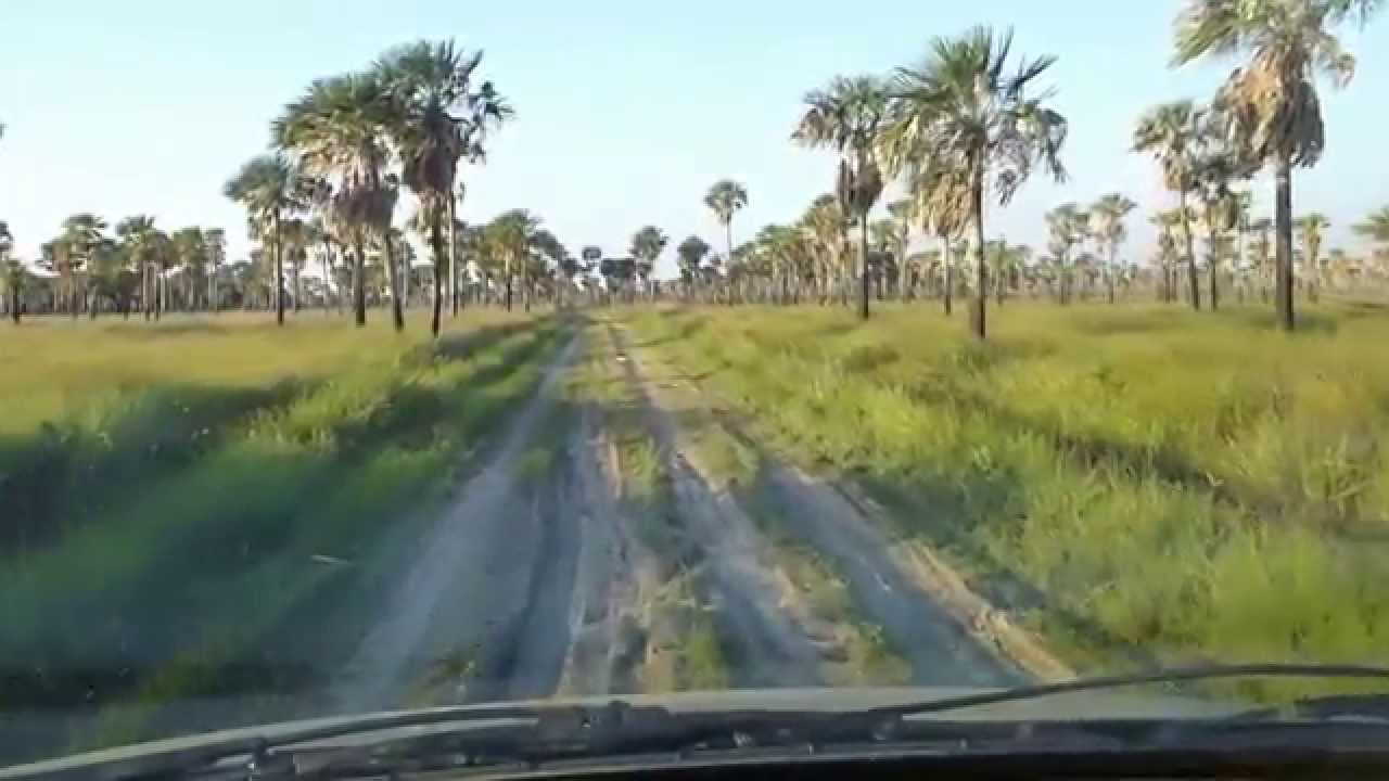 singles de laguna blanca formosa