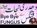 Fungal infection treatment at home  khujli ki medicine  daad ki best remedy draishaghias